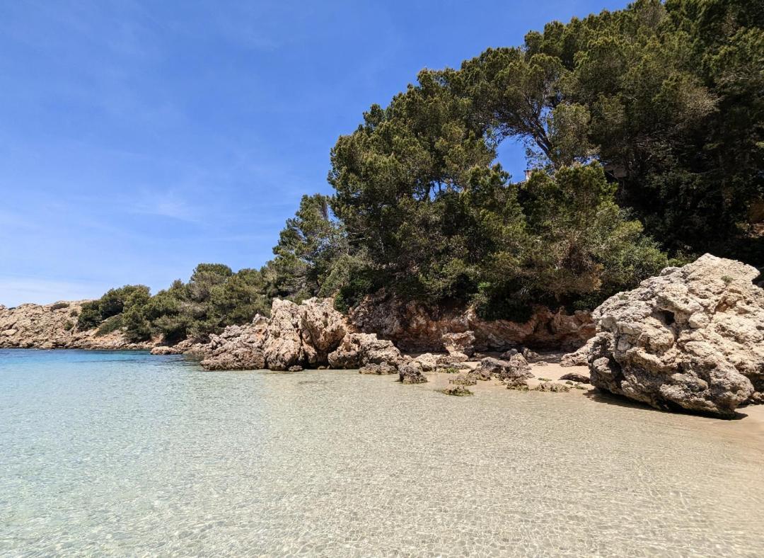 Ferienwohnung Bella Brisa, Port D'Addaia Exterior foto